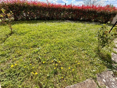 Foto Casa indipendente a Empoli Marcignana - Lucchese di 165 m² in vendita