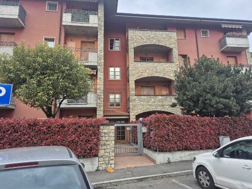 immagine annuncio 1 di 14