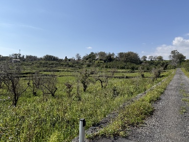 Foto Terreno agricolo a Acireale Pennisi, Santa Maria Ammalati, Piano d'Api