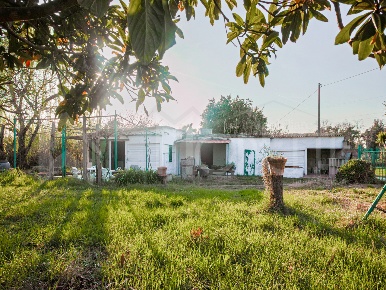 Foto Terreno agricolo in Via delle Sorgenti, Livorno Cisternino di 4890 m²