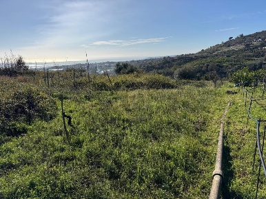 Foto Rustico in Via della Regione 174, Giarre di 60 m² con 2 locali