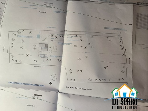 immagine annuncio 3 di 7