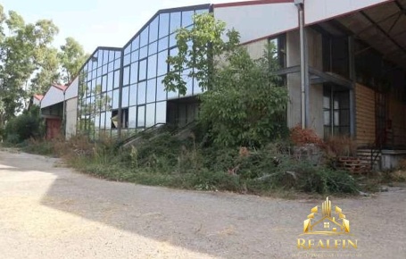 Foto Locale commerciale in SP11 Ciorlano CE Italia, Ciorlano di 16000 m²