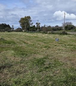 Foto Terreno agricolo in Strada provinciale 194, Sannicola di 6030 m²
