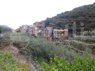 Foto Appartamento in Strada provinciale 5, Riomaggiore di 60 m² in vendita