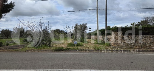 Foto Terreno agricolo in Strada Provinciale 53, Sannicola di 3026 m²