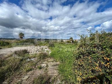 Foto Terreno agricolo in Via XXI Ottobre 781, Torregrotta Centro in vendita