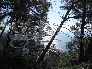 Foto Rustico in LocalitÃ  zanego 1, Lerici di 55 m² con 3 locali in vendita