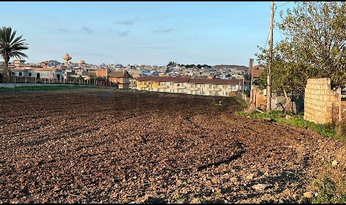 Foto Terreno agricolo in Contrada Mandre Vecchie, Pachino Centro di 9902 m²