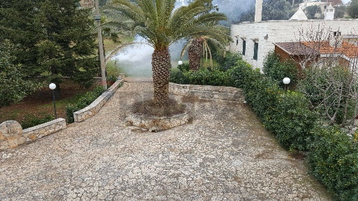 immagine annuncio 2 di 11