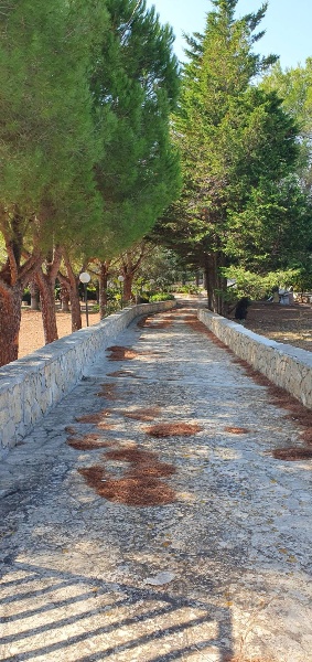 immagine annuncio 7 di 11