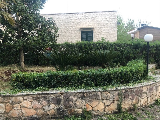 immagine annuncio 8 di 11