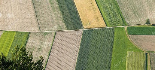 Foto Terreno agricolo in via monzese, Vignate Centro di 1500 m² in vendita
