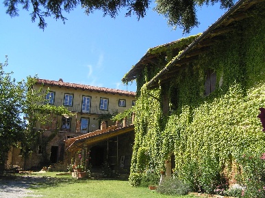 Foto Rustico in Via Cocconito 6, Cocconato Cocconito Vignaretto di 600 m²