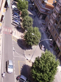 Foto Appartamento in De Gasperi, San Benedetto del Tronto De Gasperi, Conad