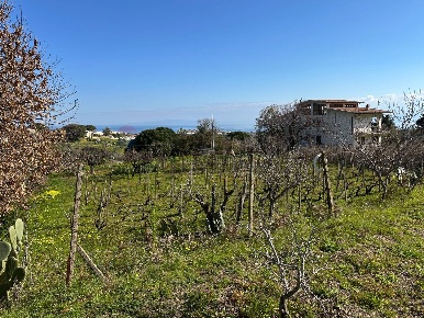 Foto Terreno agricolo in Via Lecce Faro Superiore snc, Messina di 5000 m²