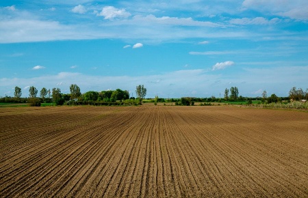Foto Terreno agricolo in via monzese, Vignate Centro di 500 m² in vendita