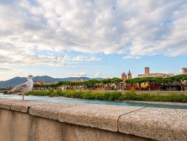 Foto Appartamento in Strada Vicinale del Molino, Albenga Centro di 65 m²