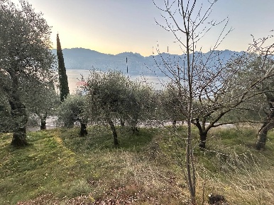 Foto Terreno agricolo a Malcesine di 720 m² in vendita