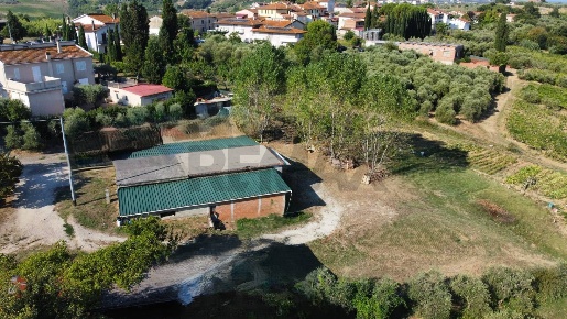 Foto Terreno agricolo in Via Cerretana 164, Vinci Toiano di 20000 m²