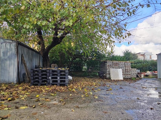 immagine annuncio 7 di 12