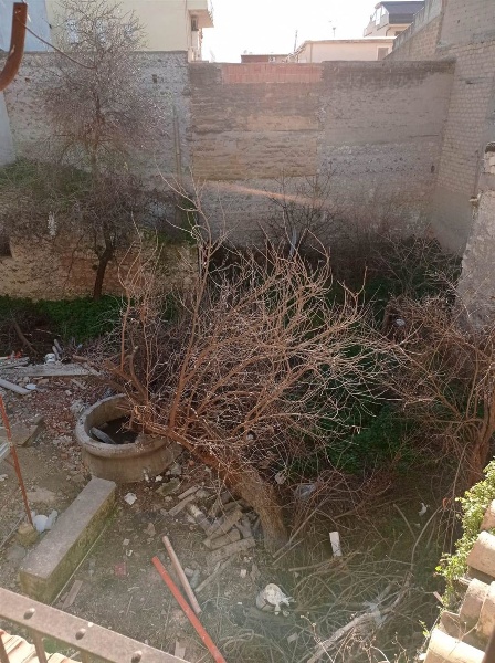 immagine annuncio 3 di 8