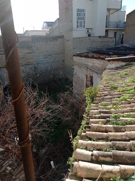 immagine annuncio 4 di 8