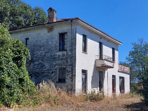 immagine annuncio 1 di 6