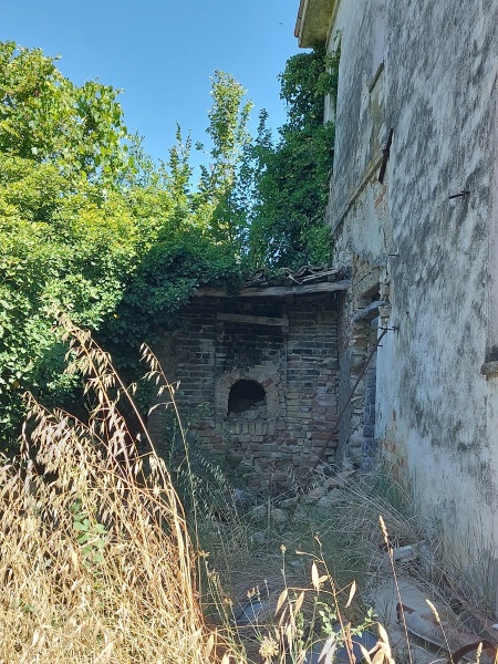 immagine annuncio 2 di 6