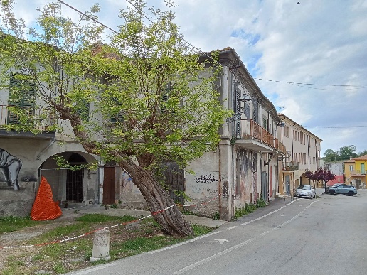 immagine annuncio 3 di 7