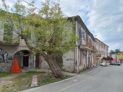 immagine annuncio 6 di 7