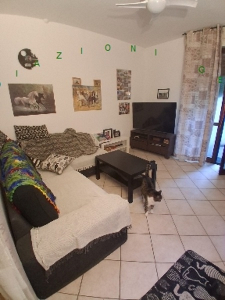 appartamento in vendita a Vicchio