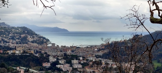Foto Villa unifamiliare a Rapallo San Martino di Noceto di 200 m²