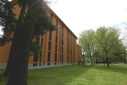 immagine annuncio 10 di 12