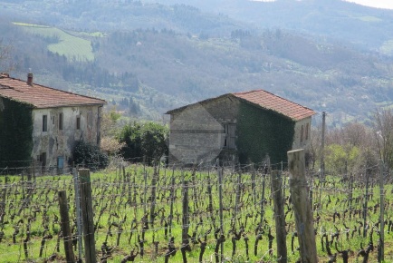 Foto Rustico in Via del Palagio in Colognole, Pontassieve di 465 m²