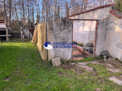 immagine annuncio 3 di 14