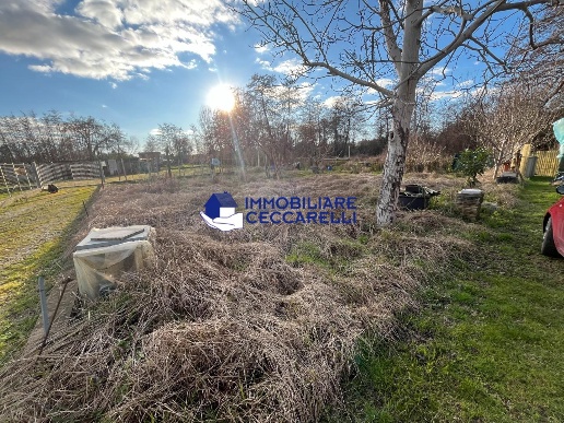 immagine annuncio 4 di 14