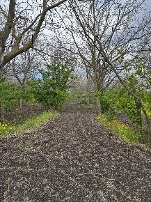 Foto Terreno residenziale in via Martiri di Nassiriya, Centro di 3976 m²