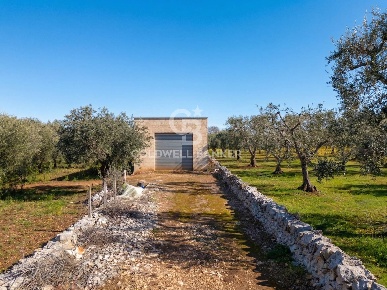 Foto Terreno agricolo in contrada chiobbica snc, Ostuni di 9519 m²