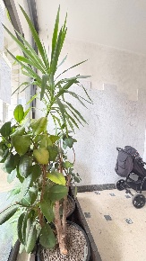 Foto Appartamento a Mantova di 52 m² con 2 locali in vendita