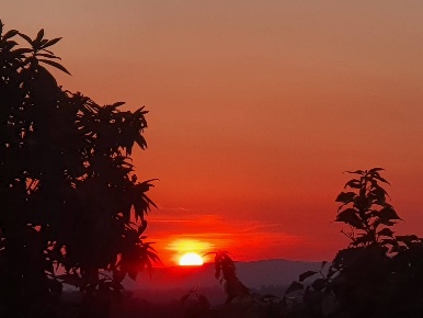 Foto Case semi ndipendenti in Via, Magliano in Toscana Centro di 141 m²
