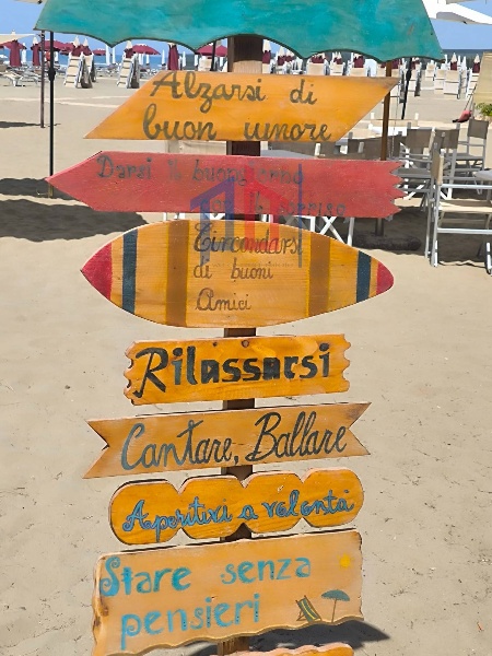 immagine annuncio 6 di 11