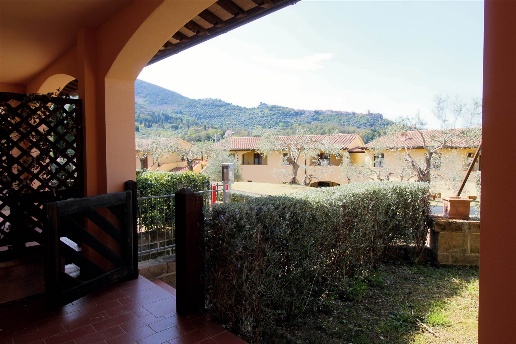 immagine annuncio 3 di 14