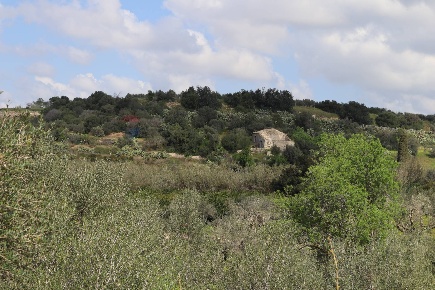 Foto Rustico in C.da S.Silvestro snc, Vittoria Centro di 77 m² con 5 locali