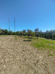 Foto Terreno agricolo a Livorno Salviano di 1549 m² in vendita