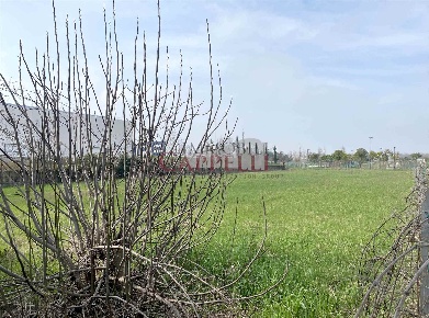 Foto Terreno edificabile in Via Artesino, Forlimpopoli Centro di 1022 m²