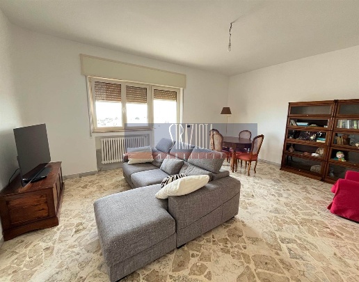 immagine annuncio 4 di 14