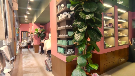 Foto Negozio a Padova Santa Sofia - Altinate di 217 m² con 2 locali