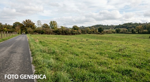 Foto Terreno agricolo a Cerreto Guidi di 10260 m² in vendita