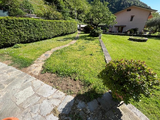 immagine annuncio 0 di 15